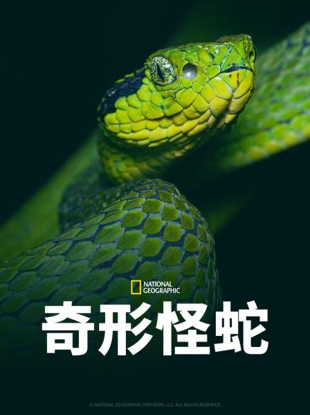 91九色网《奇形怪蛇》免费在线观看